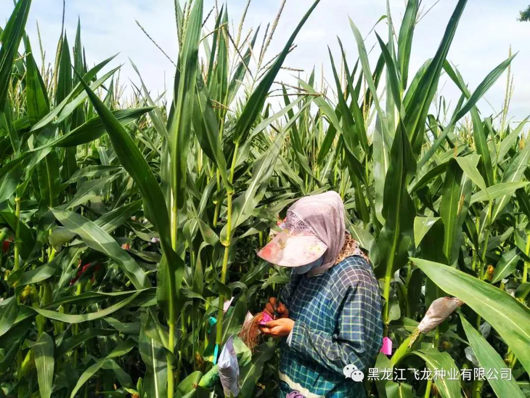 1640659472592762.jpg 7.jpg