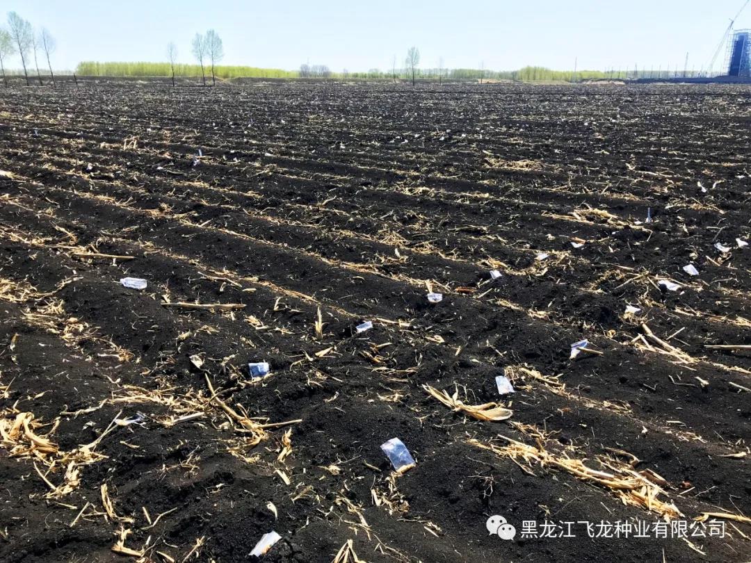 1640671564976175.jpg 15.jpg