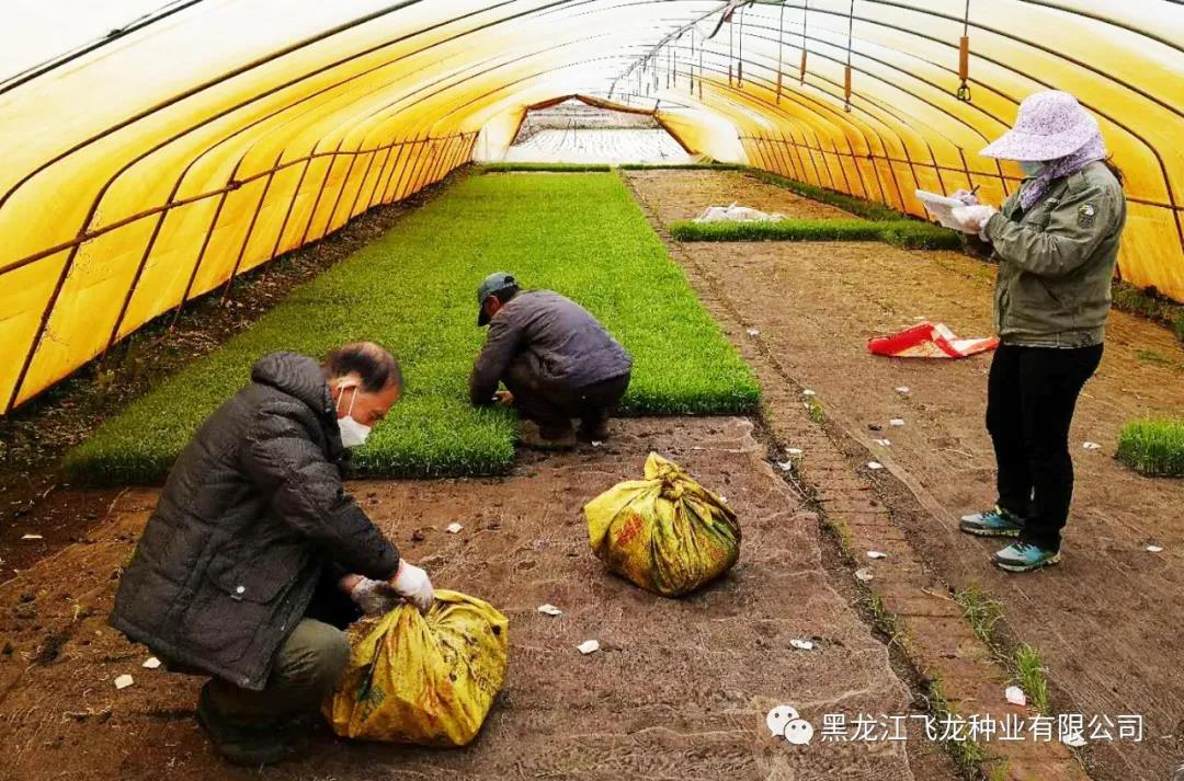 1640671762626585.jpg 3.jpg