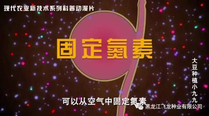 1640675630837355.jpg 3.jpg