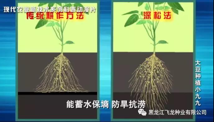 1640675640111065.jpg 4.jpg