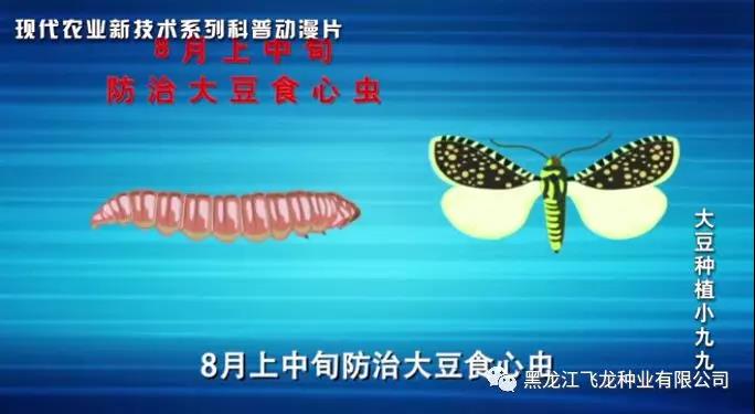 1640675686116357.jpg 9.jpg