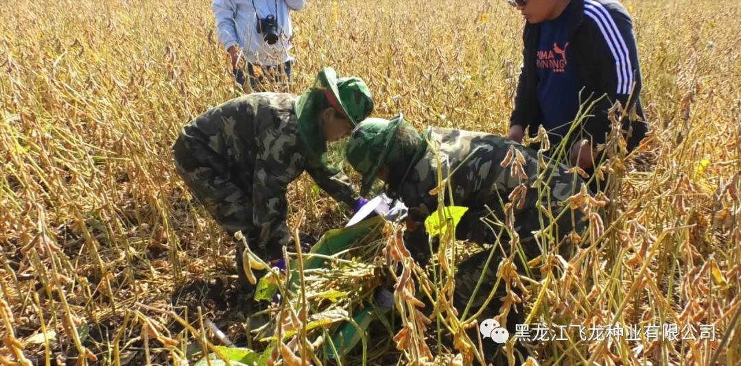 1640676793268432.jpg 8.jpg