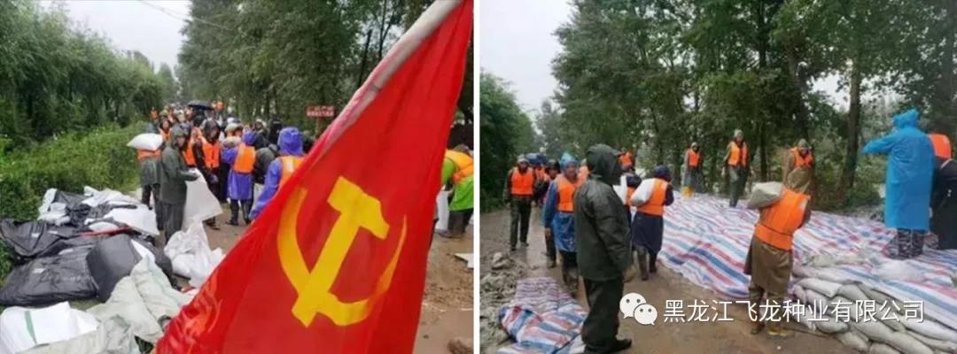 1640680209456179.jpg 1.jpg