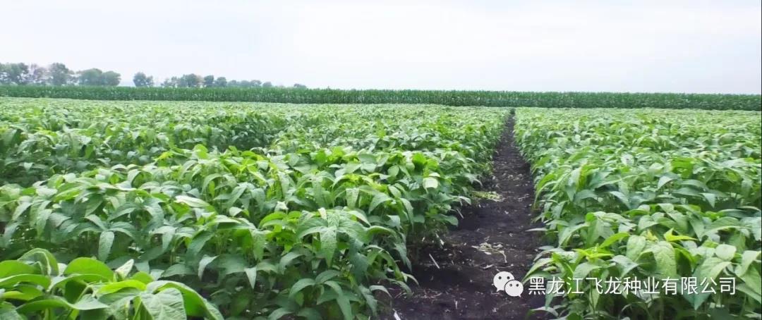 1640738181991237.jpg 3.jpg