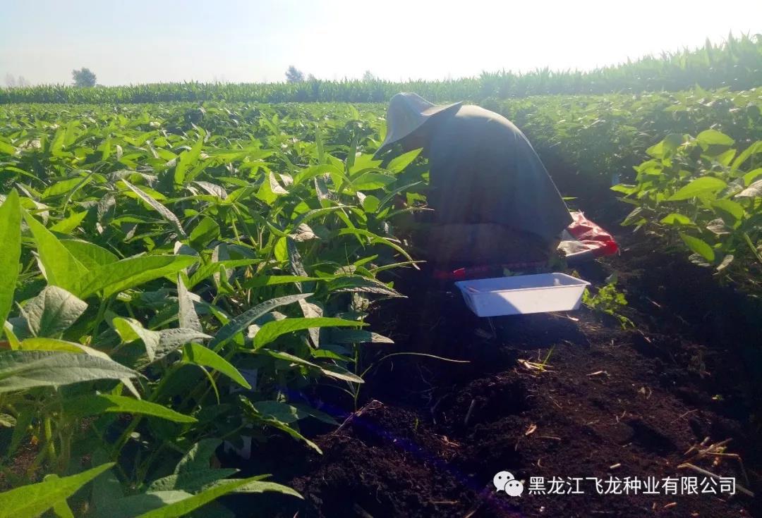 1640738204927420.jpg 5.jpg