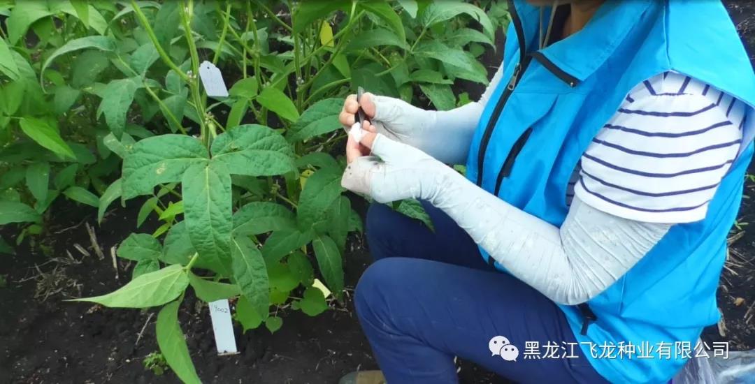 1640738275620346.jpg 13.jpg