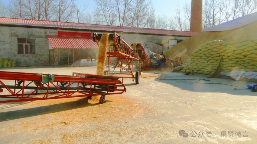 1732324258799659.jpg 6.jpg